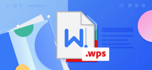 WPS网页版临时文件过多？清理与优化指南